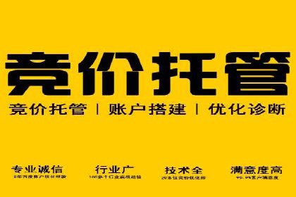 百度SEO推广公司案例精选：助力企业快速崛起